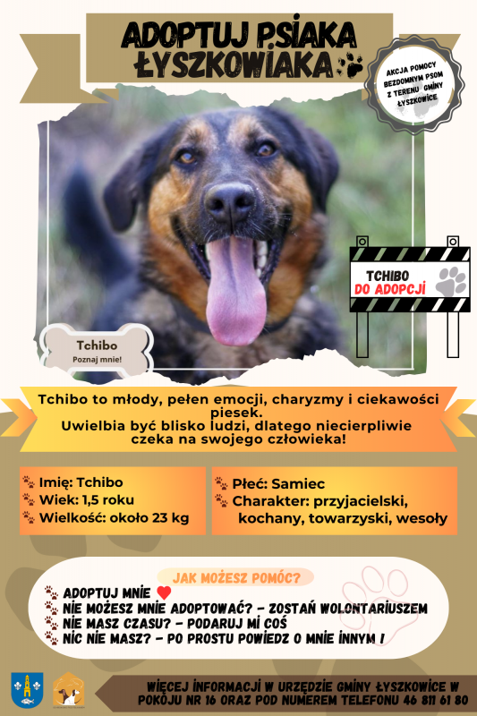 ADOPTUJ PSIAKA ŁYSZKOWIAKA – TCHIBO