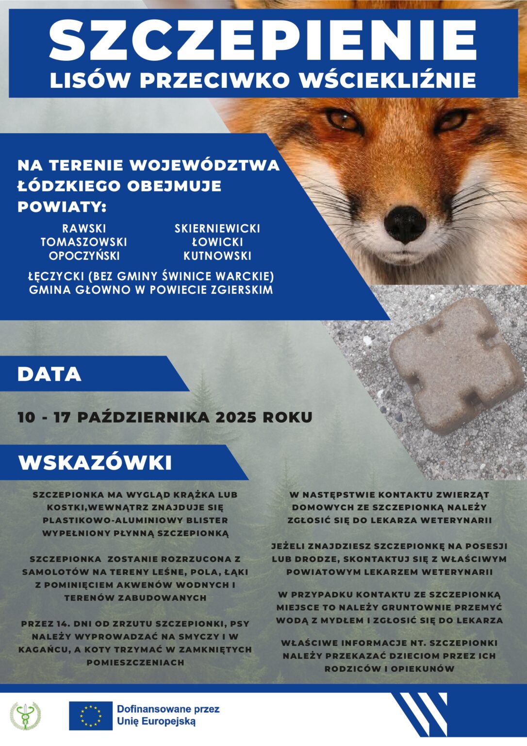 Jesienna akcja szczepienia lisów wolnożyjących przeciwko wściekliźnie